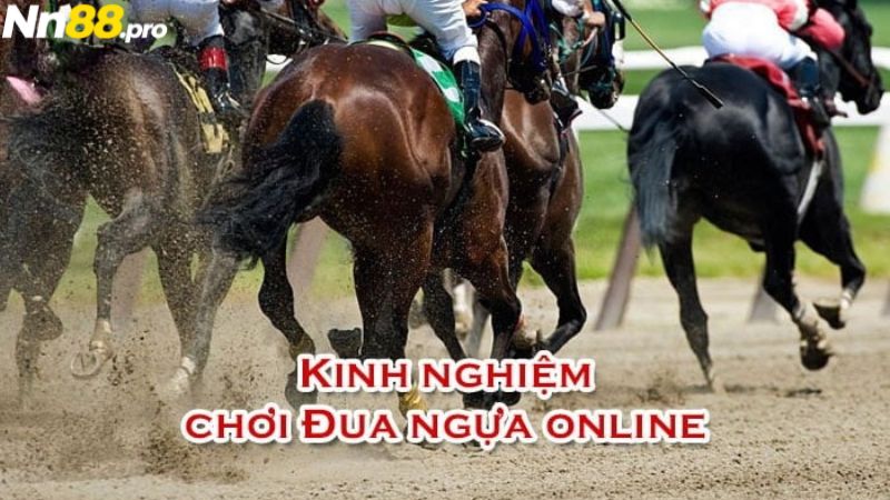 NN88 chia sẻ kinh nghiệm chinh phục cá cược đua ngựa online